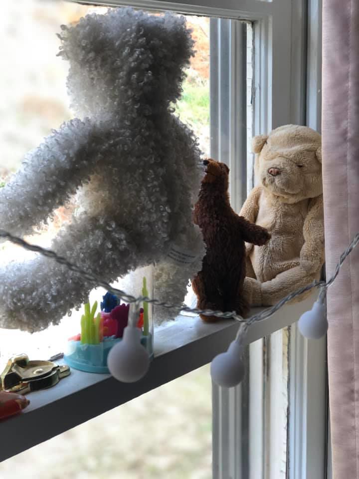 bear hunt photos (23).jpg